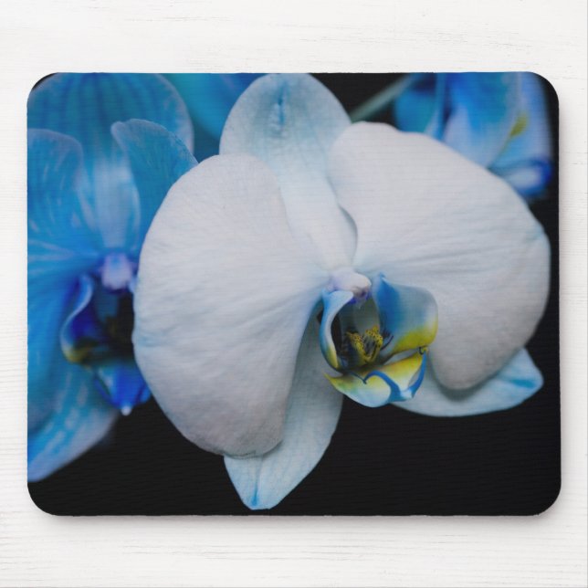 BlåttOrchid Mousepad Musmatta (Framsidan)