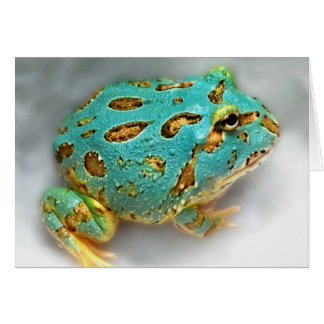 BlåttPac-Man groda - vänta som väntar, Gotcha! Hälsningskort