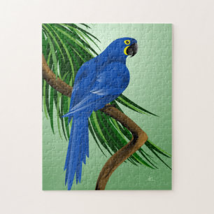 Blåttpapegoja - hyacintMacaws Pussel