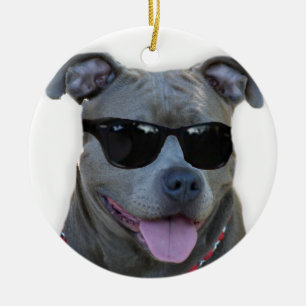 Blåttpitbull med exponeringsglas julgransprydnad keramik
