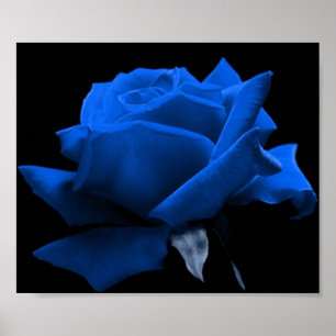 Blåttro Poster