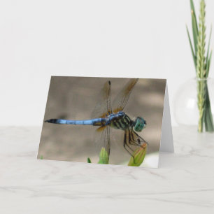 Blåttslända Notecard Kort