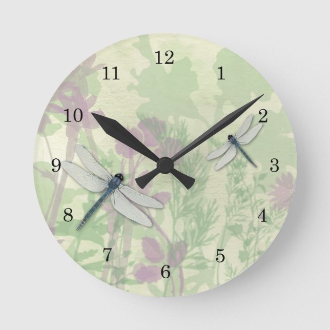 Blåttsländor tar tid på rund klocka (Framsida)