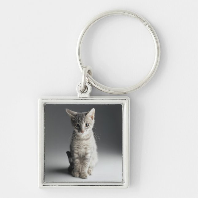BlåttTabbykattunge Fyrkantig Silverfärgad Nyckelring (Framsidan)