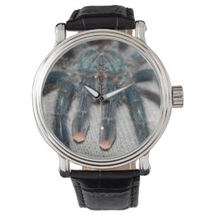 blåtttarantel armbandsur