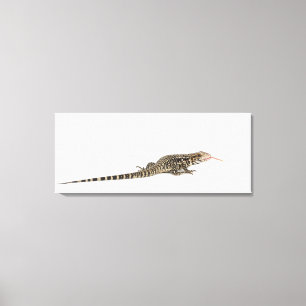 Blåtttegu - Tupinambismerianae Canvastryck