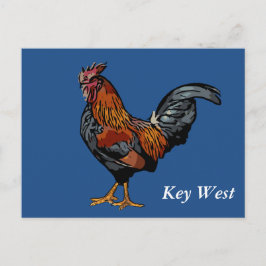 BlåtttuppKey West vykort
