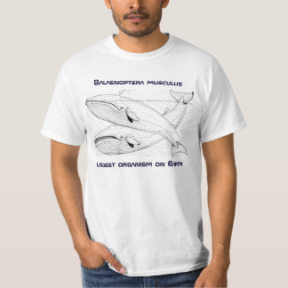 Blåttvalutslagsplats Tee