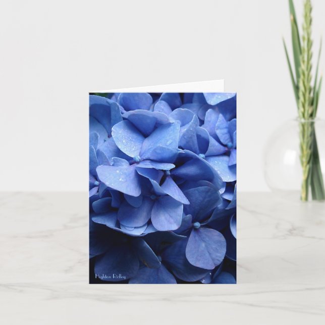 Blåttvanlig hortensia förbigår notelet/kortet kort (Framsida)