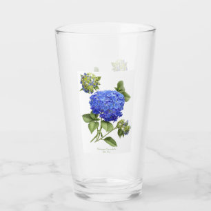 Blåttvanlig hortensia glaskopp