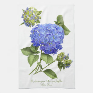 Blåttvanlig hortensia kökshandduk