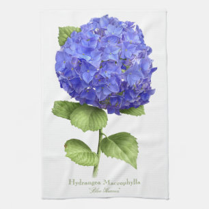 Blåttvanlig hortensia kökshandduk