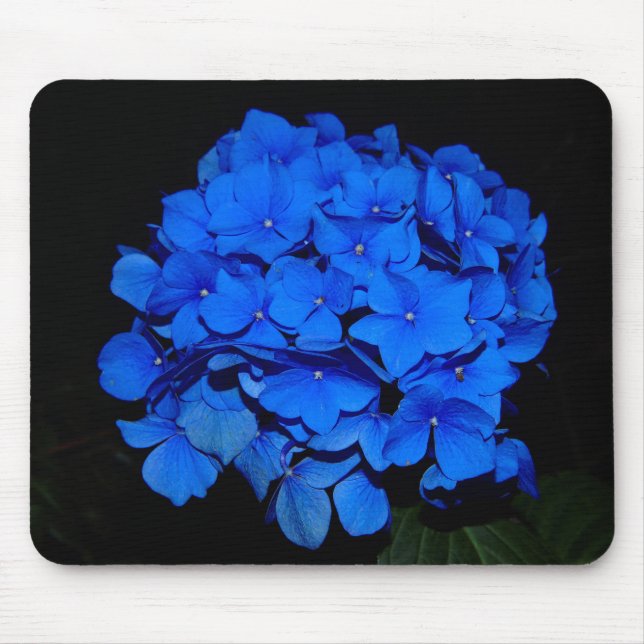 Blåttvanlig hortensia Mousepad Musmatta (Framsidan)