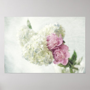 Blåttvanlig hortensia och rosapiontryck poster