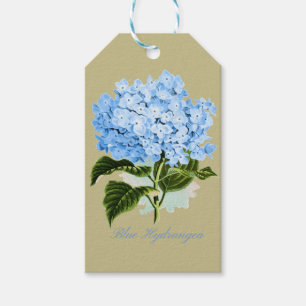 Blåttvanlig hortensia presentetikett