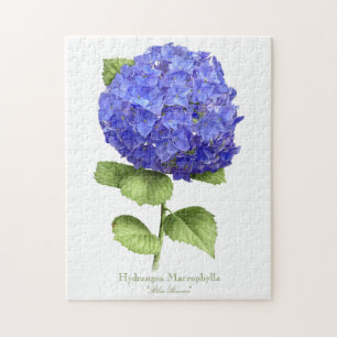 Blåttvanlig hortensia pussel