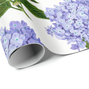 Blåttvanlig hortensia som slår in papper presentpapper