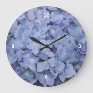 Blåttvanlig hortensia tar tid på stor klocka