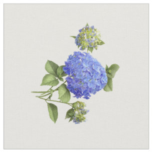 Blåttvanlig hortensia tyg