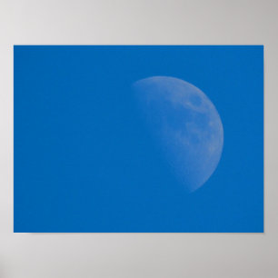Blåttvintermåne Poster