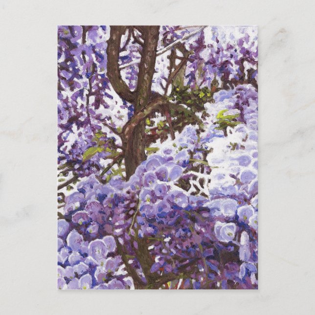 Blåttwisteria 2011 vykort (Framsida)