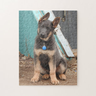 Blåtyskt skepherd Hund Teal Wood Pussel