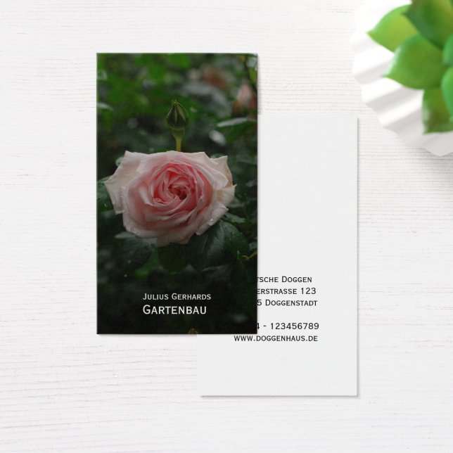 Blau und frei visitkort (Skivbord)