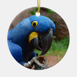 blauaruspapegoja julgransprydnad keramik