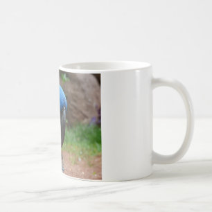 blauaruspapegoja kaffemugg