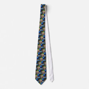 blauaruspapegoja slips