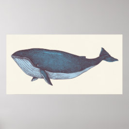 Blåval Poster
