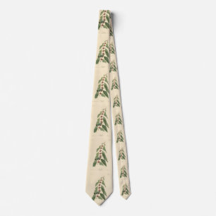 Blåvarare grönt från Audubon's Birds of America Slips