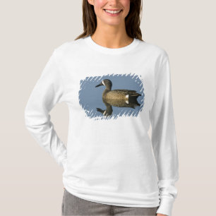 Blåvingad årta, Anas discors,hanne, Port T-shirt