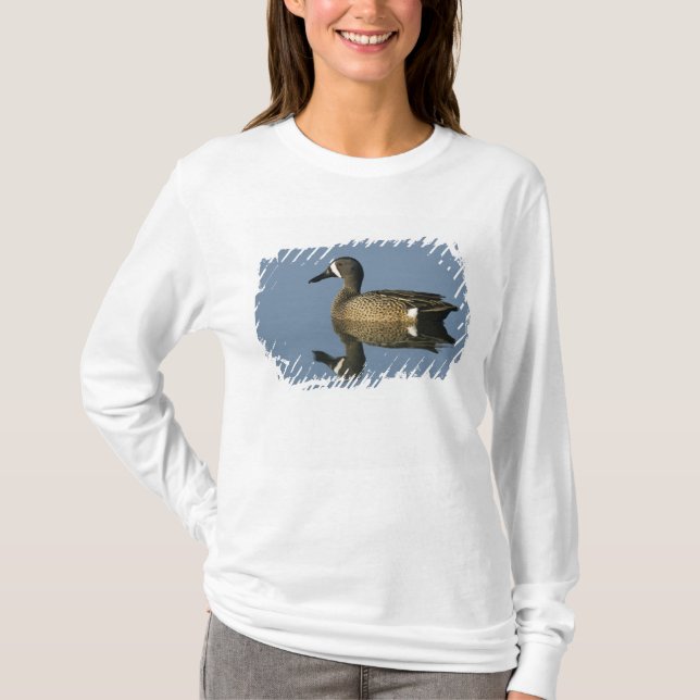Blåvingad årta, Anas discors,hanne, Port T-shirt (Framsida)