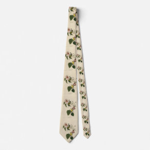 Blåvingad Gult Warbler - Audubon Birds America Slips