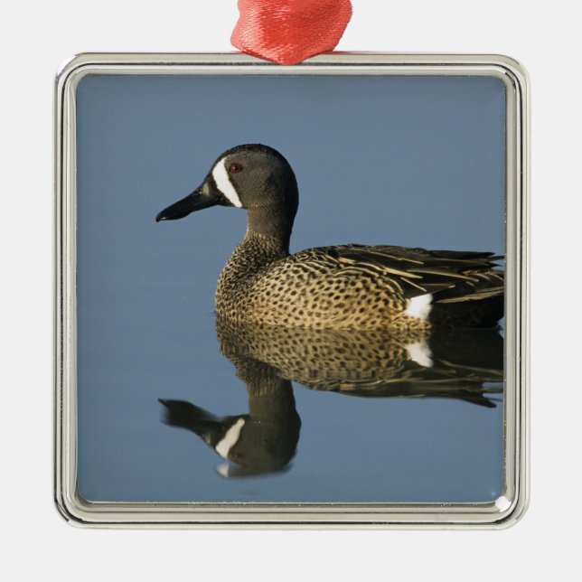 Blåvingad kalk, Anas-diskor, handjur, port Julgransprydnad Metall (Framsidan)