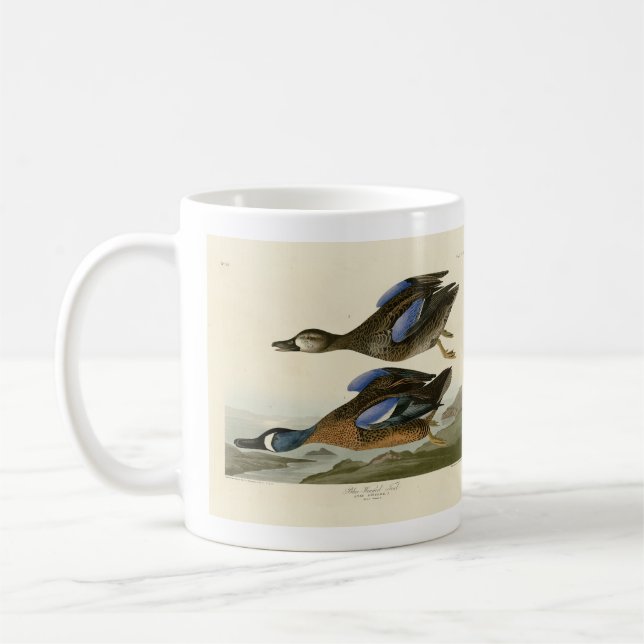 Blåvingad kalk från Audubon's Birds of America Kaffemugg (Vänster)