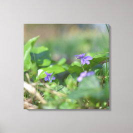 Blåvioletta blommiga Blommigt Botaniskt fotografi Canvastryck
