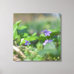 Blåvioletta blommiga Blommigt Botaniskt fotografi Canvastryck