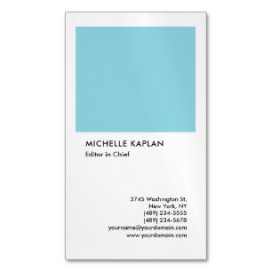 Blåvit linjär Exklusiv med Speciell, Professionel Magnetiska Visitkort