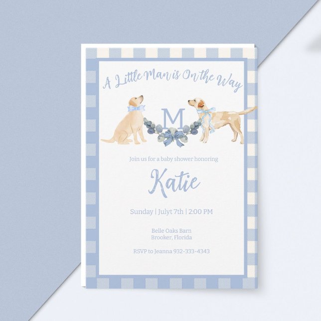 Blåvit och vit Gingham Baby Shower-inbjudan Inbjudningar (Skapare uppladdad)