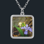 Blåvita lilor av bläckfisk av gris silverpläterat halsband<br><div class="desc">Fläktade Dwarf Iris vid Sjö Arrowhad-trail Foto av Sandy Closs medan han gick i maj. Vacker,  färglös blå lila Vild Iris växer på skogen nära detta klarblåa norra Georgien sjö. Blommor,  blommigt,  vilda blommor,  bröllop,  sympati,  födelsedag,  mors dag lavender white</div>