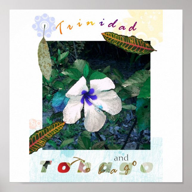 blåvitling zazzle poster (Framsidan)