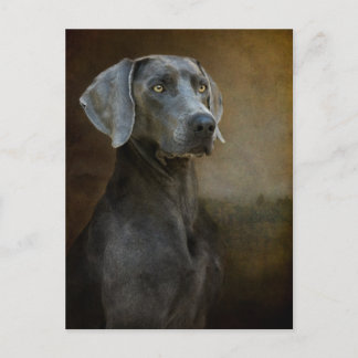 Blåvykort för renaissance vykort