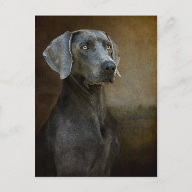 Blåvykort för renaissance vykort (Framsida)