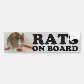 (Blazed) Rats on board Bildekal