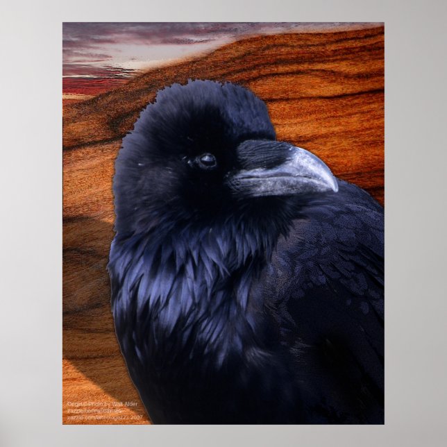 Blazen Raven Poster (Framsidan)