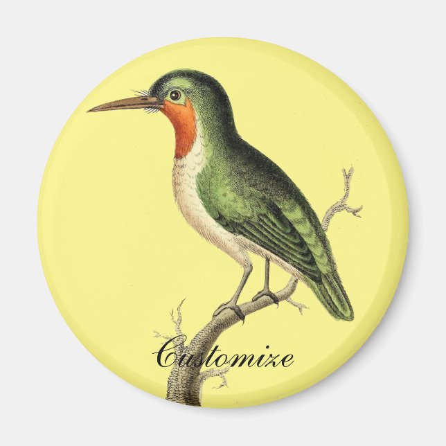 Blazing Sol Thunder_Cove Magnet (Framsidan)