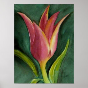Blazing Tulip Poster