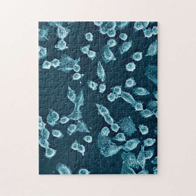 Blebby mitotic cellpussel pussel (Vertikal)